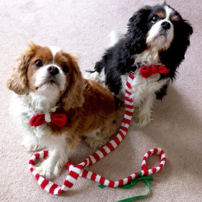 ROFL_Bow Tie & Leash Cover - knitting pattern