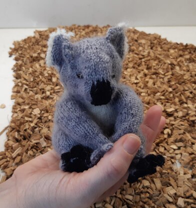 Koala (and eucalyptus twig)