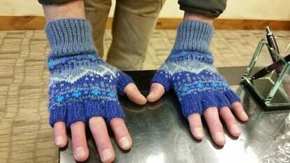Rocky Mountain Fingerless Gloves