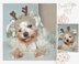 Reindeer dog hood, Crochet Pattern PDF, Size: XS for small dog. Language - English