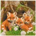 Crystal Art Fox Cubs, 30x30cm Diamond Painting Kit