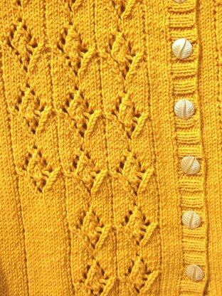 Cardigan with Eyelet & Cable Motifs