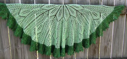 Bird Cage Shawl