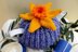 Darling Daffodil Tea Cosy