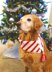 Christmas Dog Scarf, Candy Cane Scarf