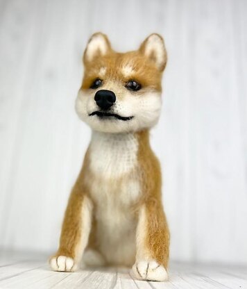 Shiba Inu Dog