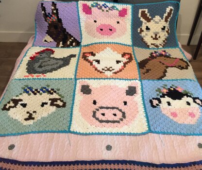 Rocky the Pig C2C Graphgan Square