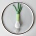 Spring Onion