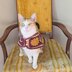 Sun and Moon Cat Sweater
