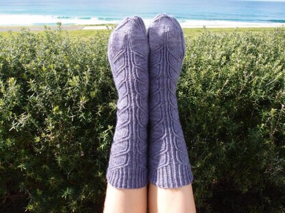 Goanna Skin Socks TJD12