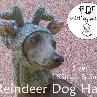 Reindeer dog hat - sizes XS and S