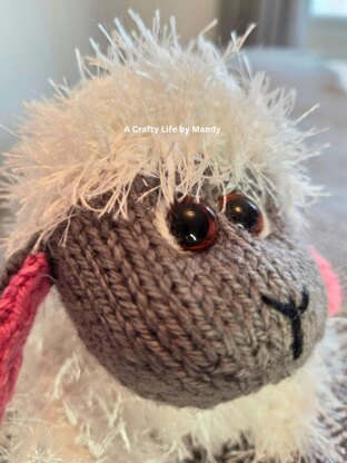 Barnaby Choc Orange Cosy/Softie