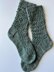 Syngonium Socks