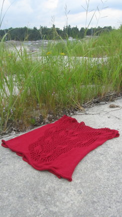 Lobelia Cardinalis #2