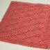CLM Dishcloths