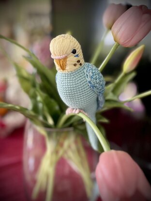 Pearl the Budgie