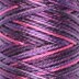 Fuchsia Love (12VAKV3)