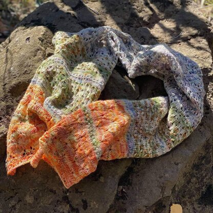 Forager Bees Shawl