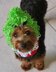 Grinch Inspired Dog Hood