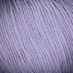 Iris (2859)