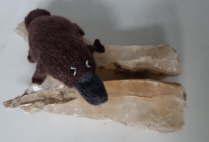 Platypus