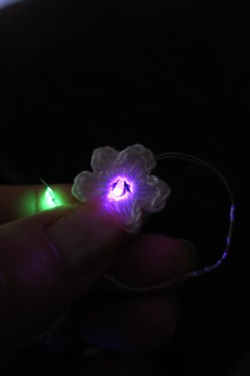 Forget Me Not