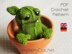 Grumble the Cactus