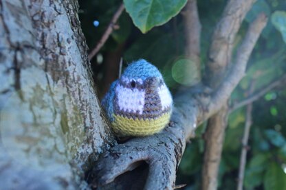 Blue Tit Amigurumi Pattern