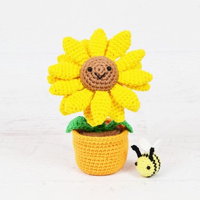 Potted Sunflower