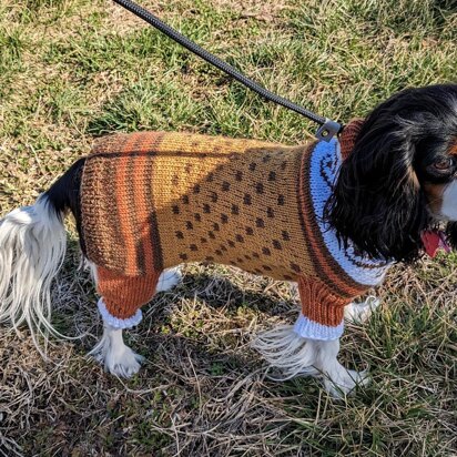 Stylin' Rescue Pup Sweater - knitting pattern