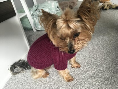 Plum Dog Sweater