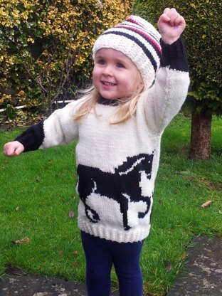 Horse Jumper and Hat