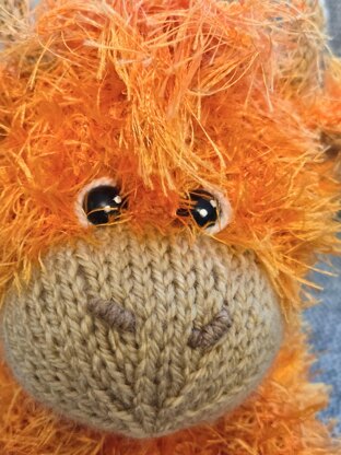 Highland Cow Choc' Orange Cosy