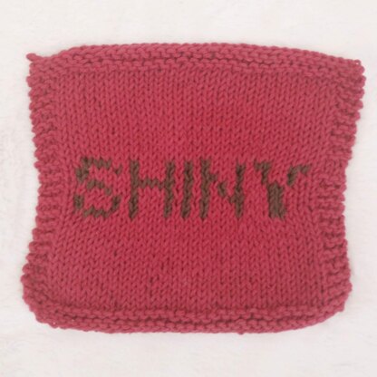 Shiny Dishcloth