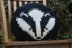 A Badger Pillow