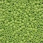02066 - Crayon Yellow Green