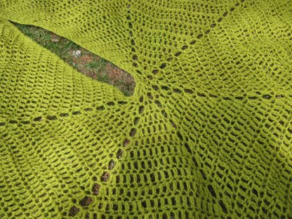 Lake Chargoggag Shawl