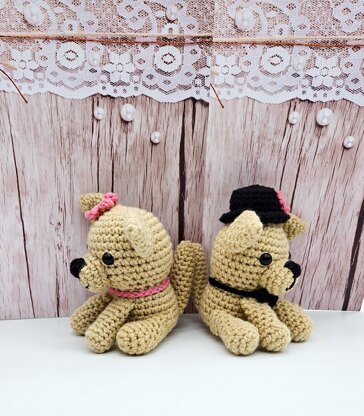 Chihuahua Couple