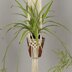 Wool Couture Summer Time Plant Hanger Macrame Kit