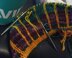 Serendipity DK Slippers 3149
