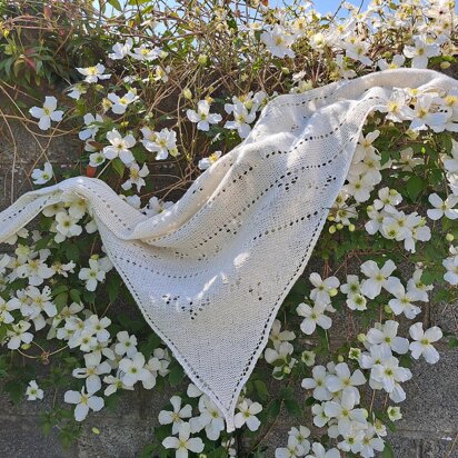 Little Seagull Shawl - knitting pattern