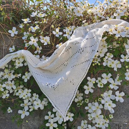 Little Seagull Shawl