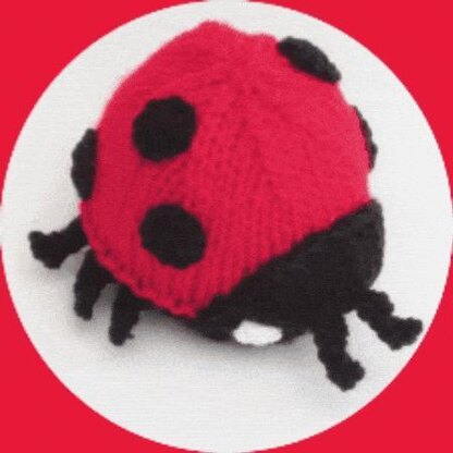 Ladybird Chocolate Orange Cosy