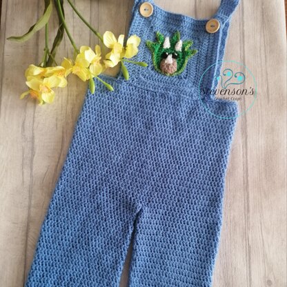 Dino Dungaree Overalls