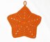 Starfish Washcloth