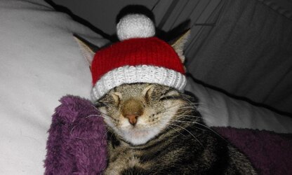 Christmas jumpers sale for cats