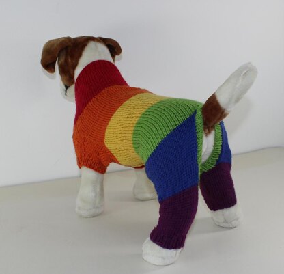 Rainbow Dog Onesie