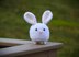 Mini Bunny Amigurumi