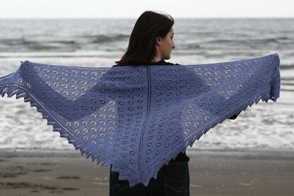 Forget-Me-Not Shawl