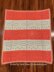Dancing Dragon Flies Blanket